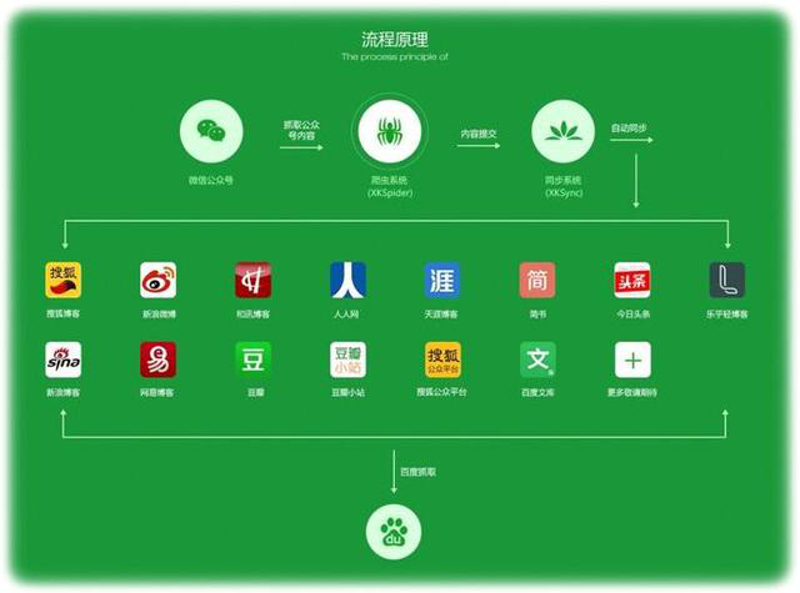 品牌策划公司的选购指南